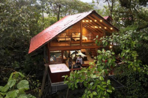 Luxury cabin surrounded by nature